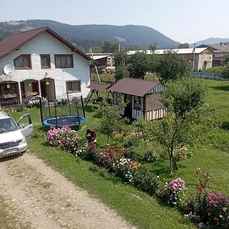 файна гофа